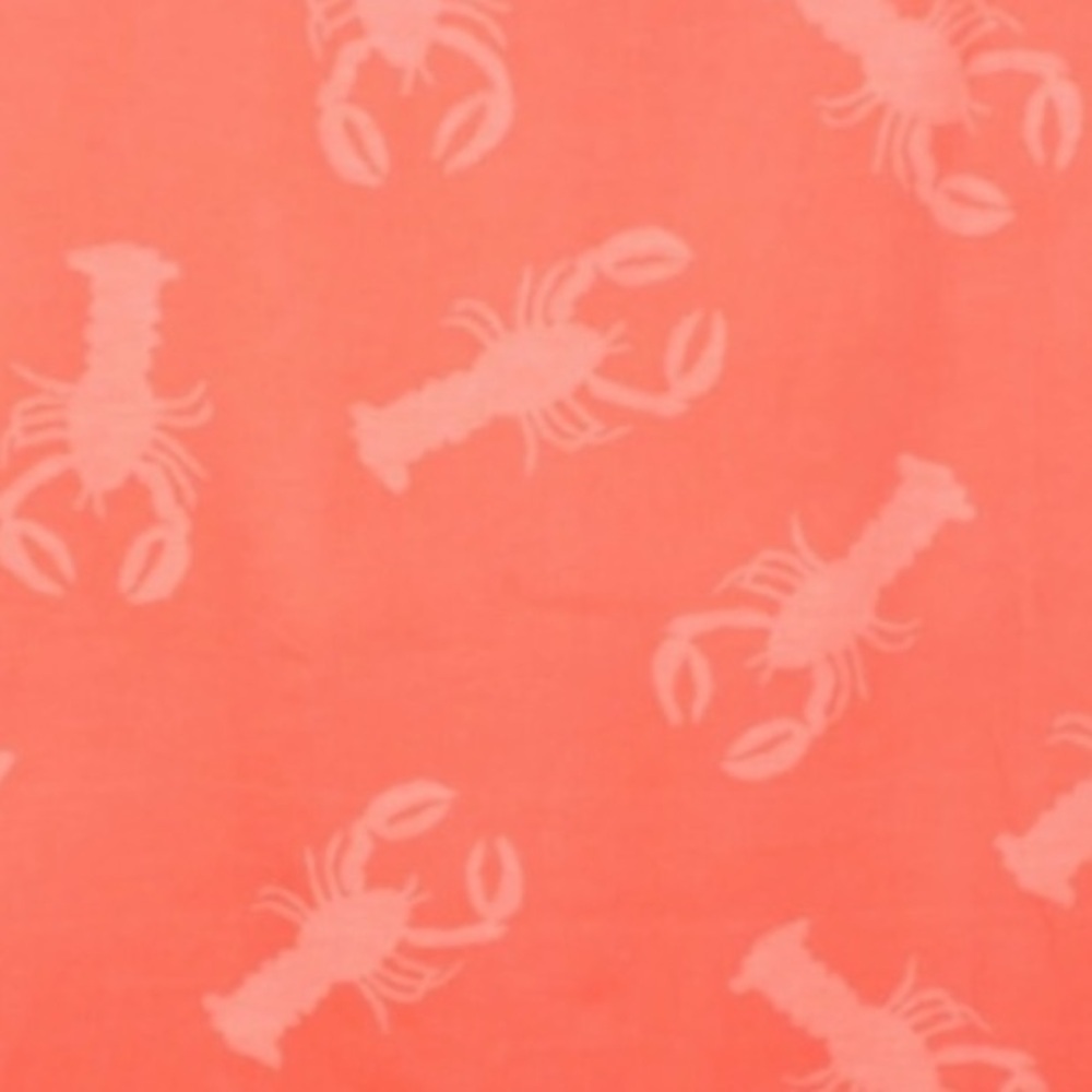 Lobster Louie SET Organic Cotton Blanket Towel 2 Sided + Nap Pillow Cover 🦞 Red - Picture 10 of 14
